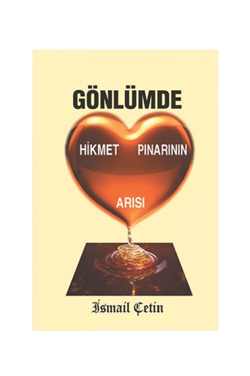 GÖNLÜMDE HİKMET PINARININ ARISI