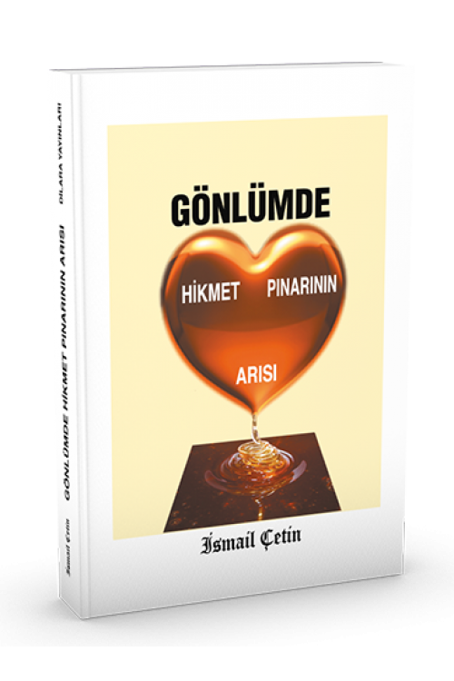 GÖNLÜMDE HİKMET PINARININ ARISI